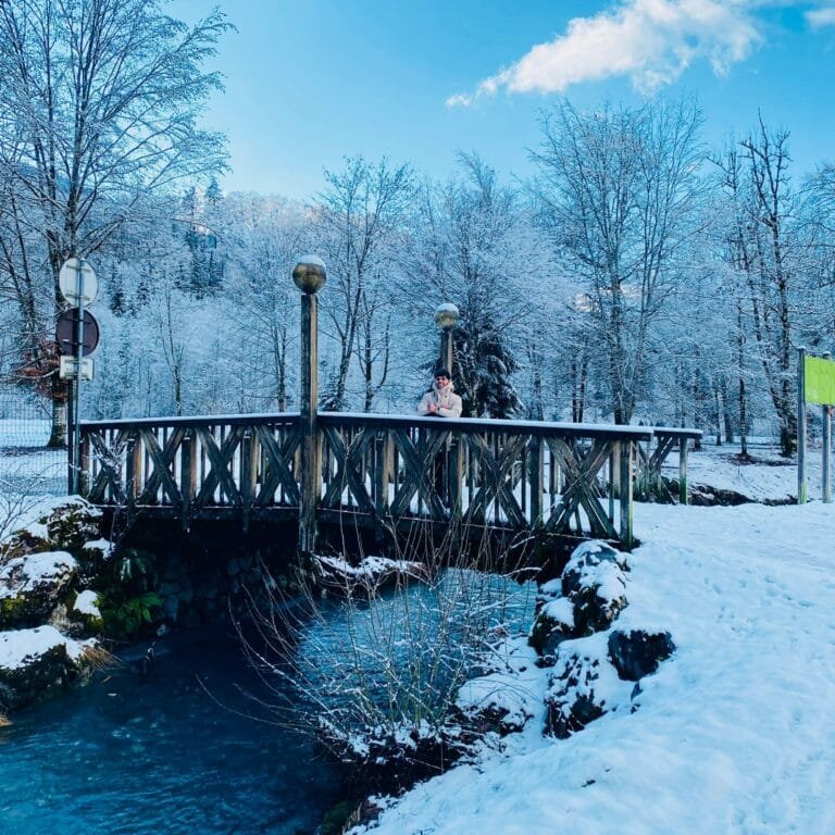 vue montanines Samoëns