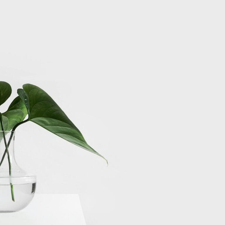 Discover the Luxury of Time with Rose Conciergerie Services 1